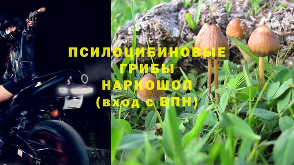 твердый Верея